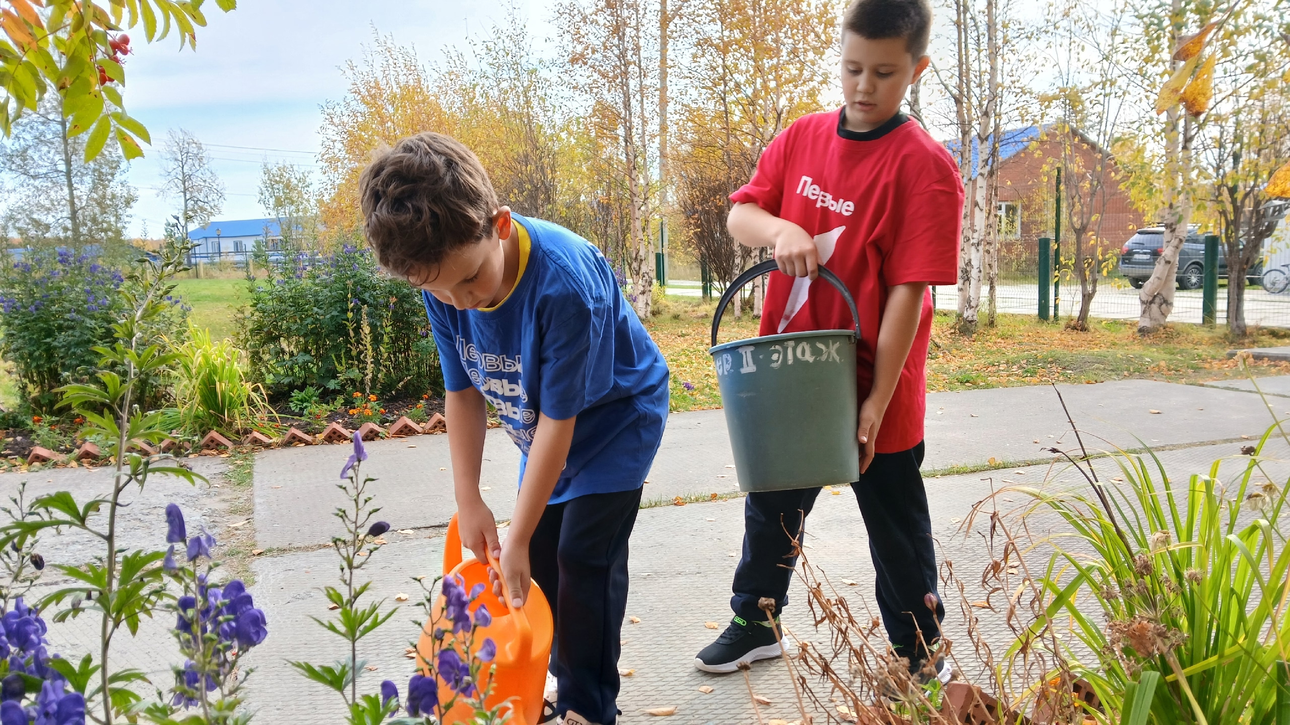 Любопытно, а что это на школьной клумбе?