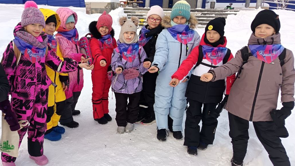 Синичкин День — 